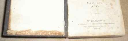 Przebarwienie podniszczonej wyklejki, sk�rzany falc uszkodzony, zaplamienie - zagrzybienie: br�zowe plamki - na karcie tytu�owej